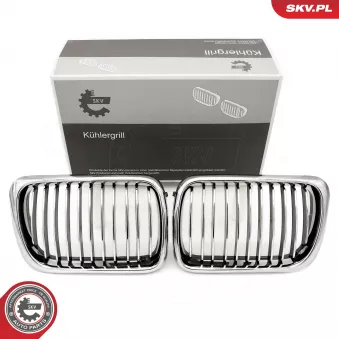 Grille de radiateur ESEN SKV 66SKV052 pour TOYOTA PRIUS 318 i - 115cv