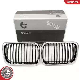 Grille de radiateur ESEN SKV 66SKV053 pour TOYOTA PRIUS 318 i - 115cv