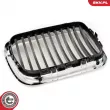 ESEN SKV 66SKV053 - Grille de radiateur