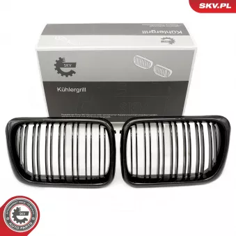 Grille de radiateur ESEN SKV 66SKV054 pour TOYOTA PRIUS 318 i - 115cv