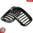 ESEN SKV 66SKV055 - Grille de radiateur