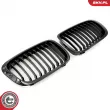 ESEN SKV 66SKV060 - Grille de radiateur