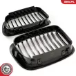 ESEN SKV 66SKV060 - Grille de radiateur