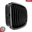 ESEN SKV 66SKV060 - Grille de radiateur