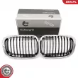 ESEN SKV 66SKV064 - Grille de radiateur