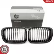 ESEN SKV 66SKV065 - Grille de radiateur