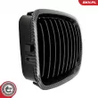 ESEN SKV 66SKV065 - Grille de radiateur