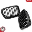 ESEN SKV 66SKV066 - Grille de radiateur