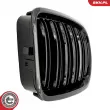 ESEN SKV 66SKV066 - Grille de radiateur