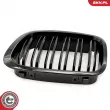 ESEN SKV 66SKV066 - Grille de radiateur