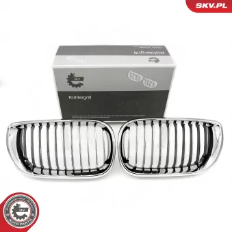 Grille de radiateur ESEN SKV OEM 51137042961