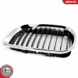 ESEN SKV 66SKV079 - Grille de radiateur