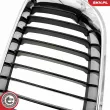 ESEN SKV 66SKV079 - Grille de radiateur