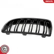 ESEN SKV 66SKV089 - Grille de radiateur