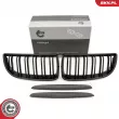 ESEN SKV 66SKV091 - Grille de radiateur