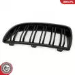 ESEN SKV 66SKV091 - Grille de radiateur