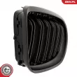ESEN SKV 66SKV101 - Grille de radiateur