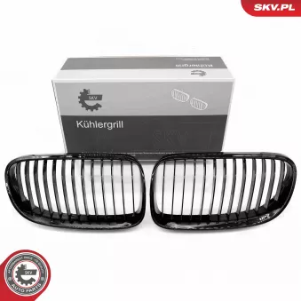 Grille de radiateur ESEN SKV OEM 51137254969