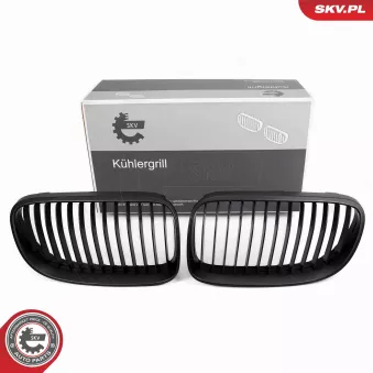 Grille de radiateur ESEN SKV OEM 51137254969