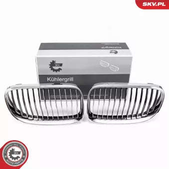 Grille de radiateur ESEN SKV OEM 51137254969