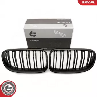 Grille de radiateur ESEN SKV OEM 51137254969