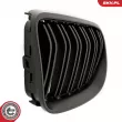 ESEN SKV 66SKV117 - Grille de radiateur