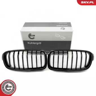 Grille de radiateur ESEN SKV 66SKV120 pour BMW Série 3 320 i Efficient Dynamics - 170cv