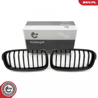 Grille de radiateur ESEN SKV 66SKV121 pour BMW Série 3 320 i xDrive - 184ch