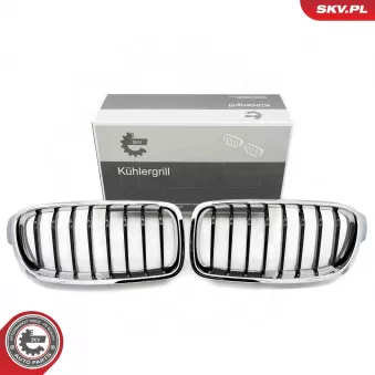 Grille de radiateur ESEN SKV 66SKV122 pour BMW Série 3 320 i xDrive - 184ch