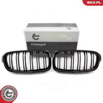 Grille de radiateur ESEN SKV 66SKV123 pour BMW Série 3 320 i Efficient Dynamics - 170cv