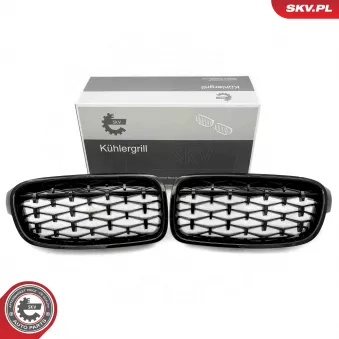 Grille de radiateur ESEN SKV 66SKV128 pour BMW Série 3 320 i xDrive - 184ch