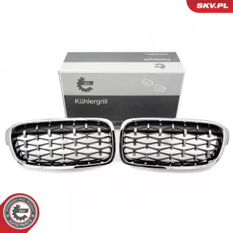 Grille de radiateur ESEN SKV 66SKV130 pour BMW Série 3 320 i Efficient Dynamics - 170cv