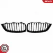 ESEN SKV 66SKV149 - Grille de radiateur