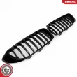 ESEN SKV 66SKV149 - Grille de radiateur