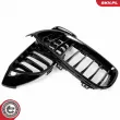ESEN SKV 66SKV149 - Grille de radiateur
