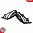 ESEN SKV 66SKV149 - Grille de radiateur