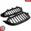 ESEN SKV 66SKV149 - Grille de radiateur