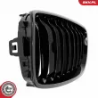 ESEN SKV 66SKV149 - Grille de radiateur