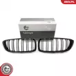 ESEN SKV 66SKV153 - Grille de radiateur