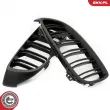 ESEN SKV 66SKV153 - Grille de radiateur