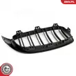 ESEN SKV 66SKV153 - Grille de radiateur