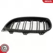 ESEN SKV 66SKV153 - Grille de radiateur