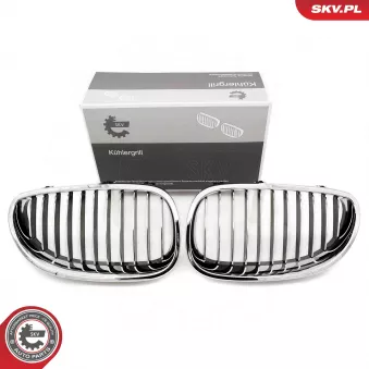 Grille de radiateur ESEN SKV 66SKV168 pour HYUNDAI IX55 523 i - 190ch