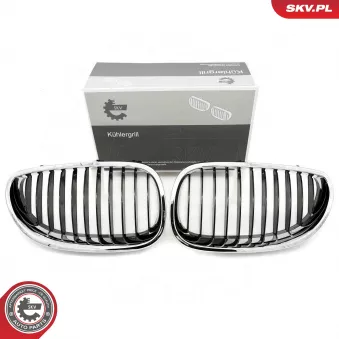 Grille de radiateur ESEN SKV OEM 51137065702