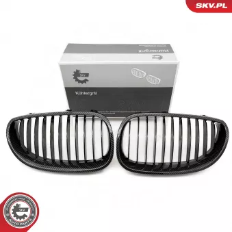 Grille de radiateur ESEN SKV OEM 51137065702