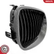 ESEN SKV 66SKV170 - Grille de radiateur