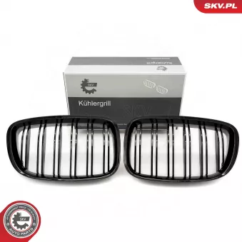 Grille de radiateur ESEN SKV 66SKV178 pour OPEL MERIVA 520 d - 163cv