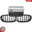 ESEN SKV 66SKV183 - Grille de radiateur