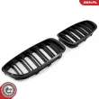 ESEN SKV 66SKV183 - Grille de radiateur