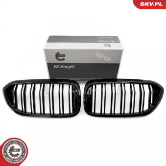Grille de radiateur ESEN SKV 66SKV193 pour BMW Série 5 530 e iPerformance - 252cv